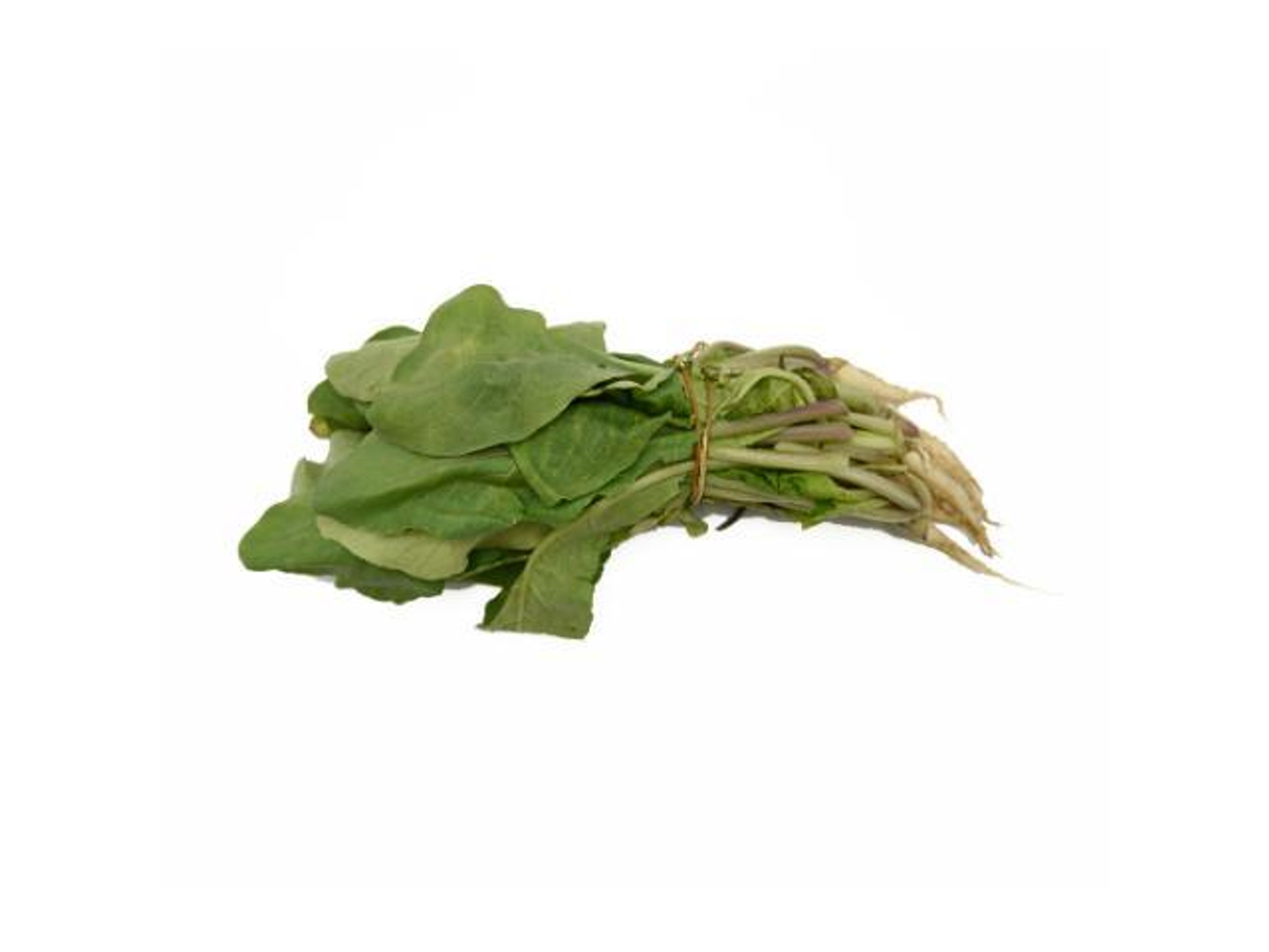 White Radishes Bundle