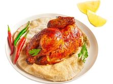 دجاج شواية ساده