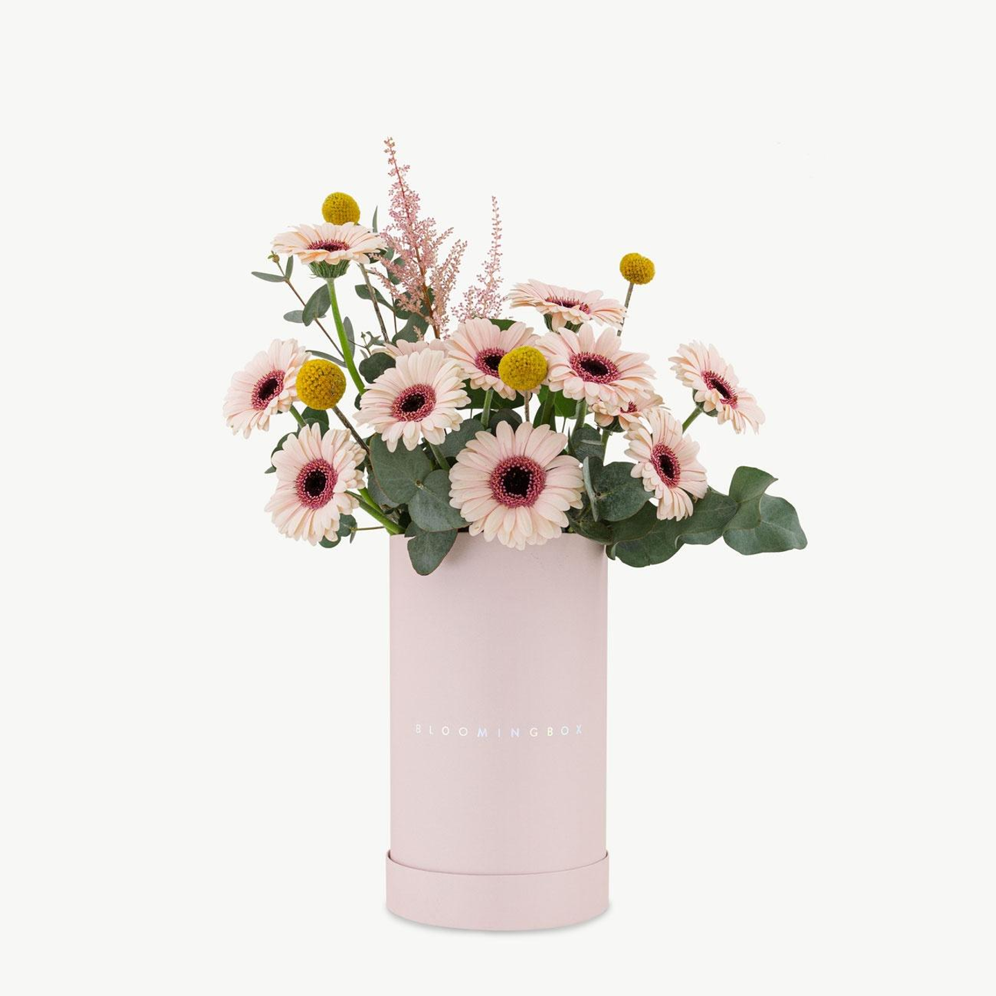 Soft Pink Tall Assortment