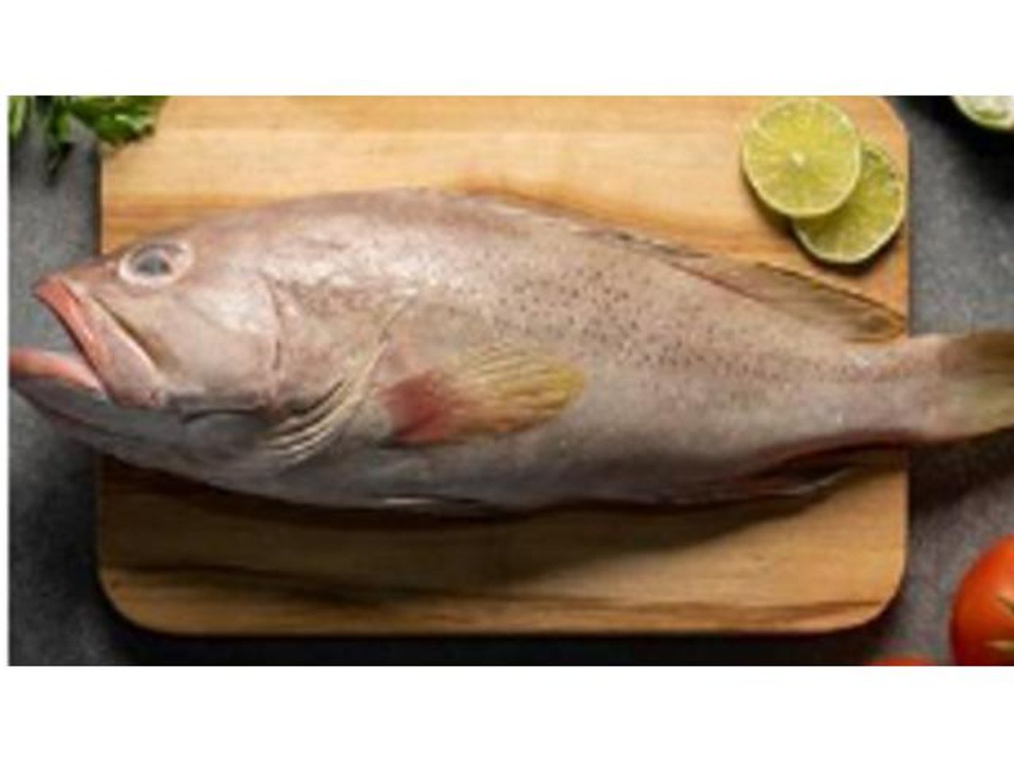 Grouper1 Kg