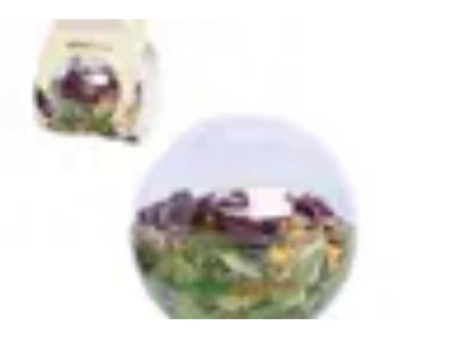 سلطة السيلانترو