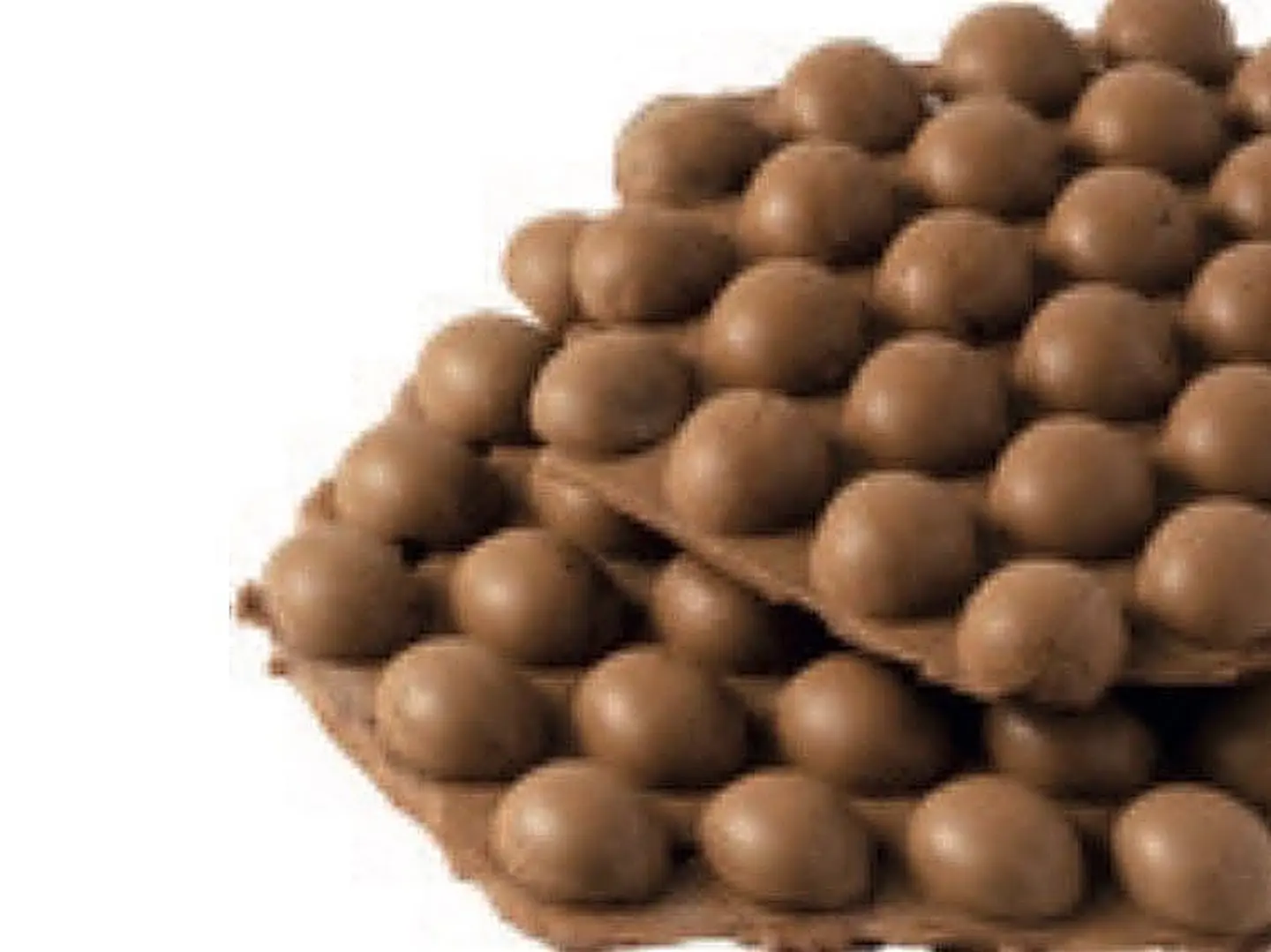 Bubble And Cocoa Egg Puff