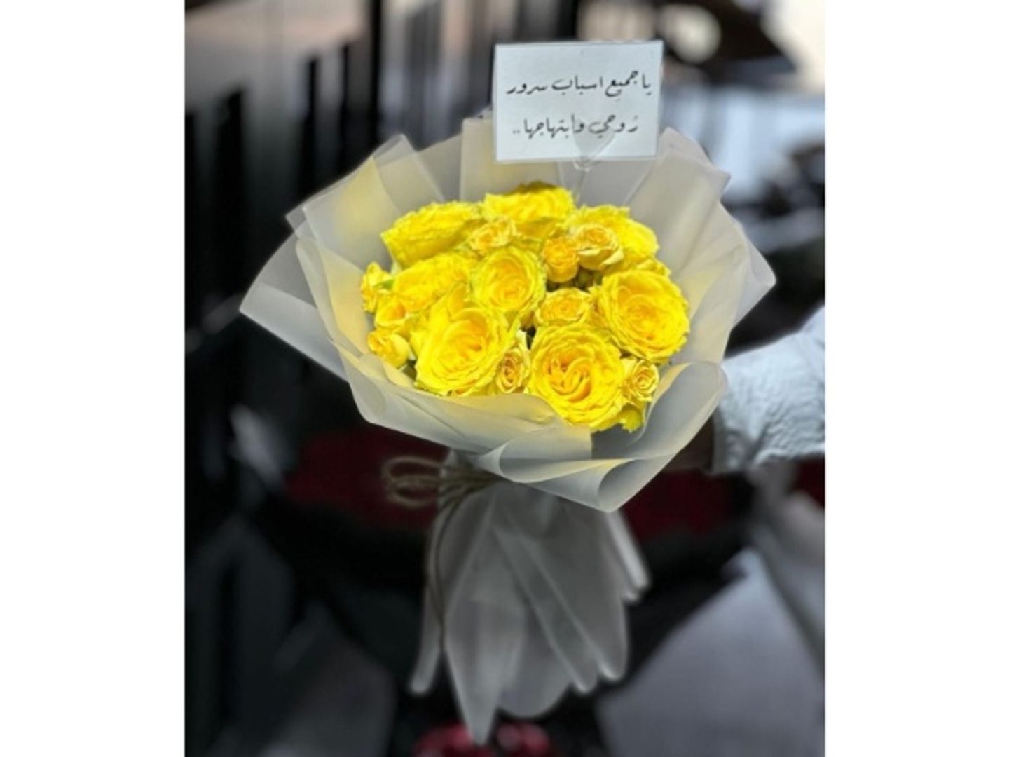 بوكية الصفاء