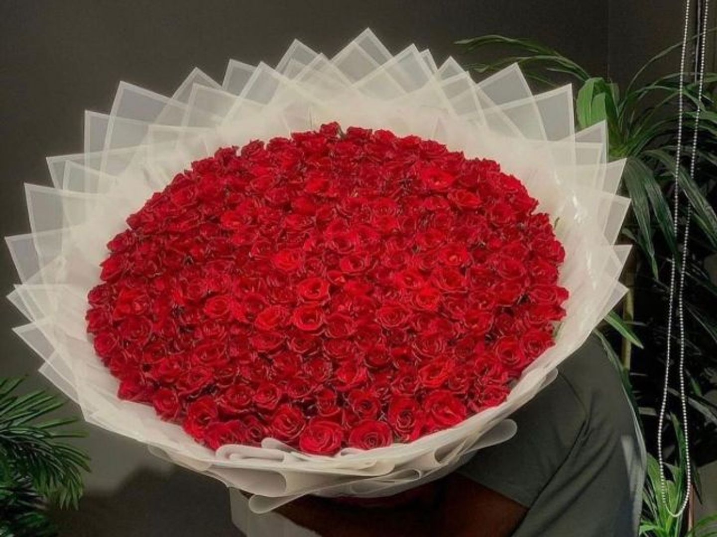 باقة الحب 5