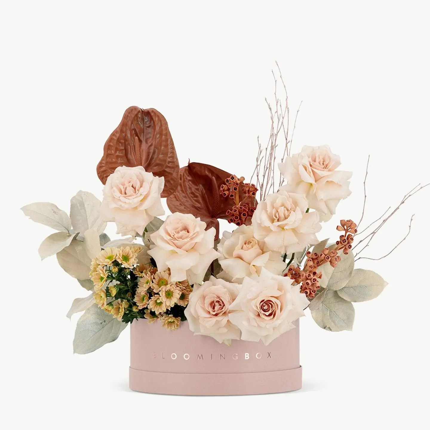 تشكيلة الفجر القصيرة