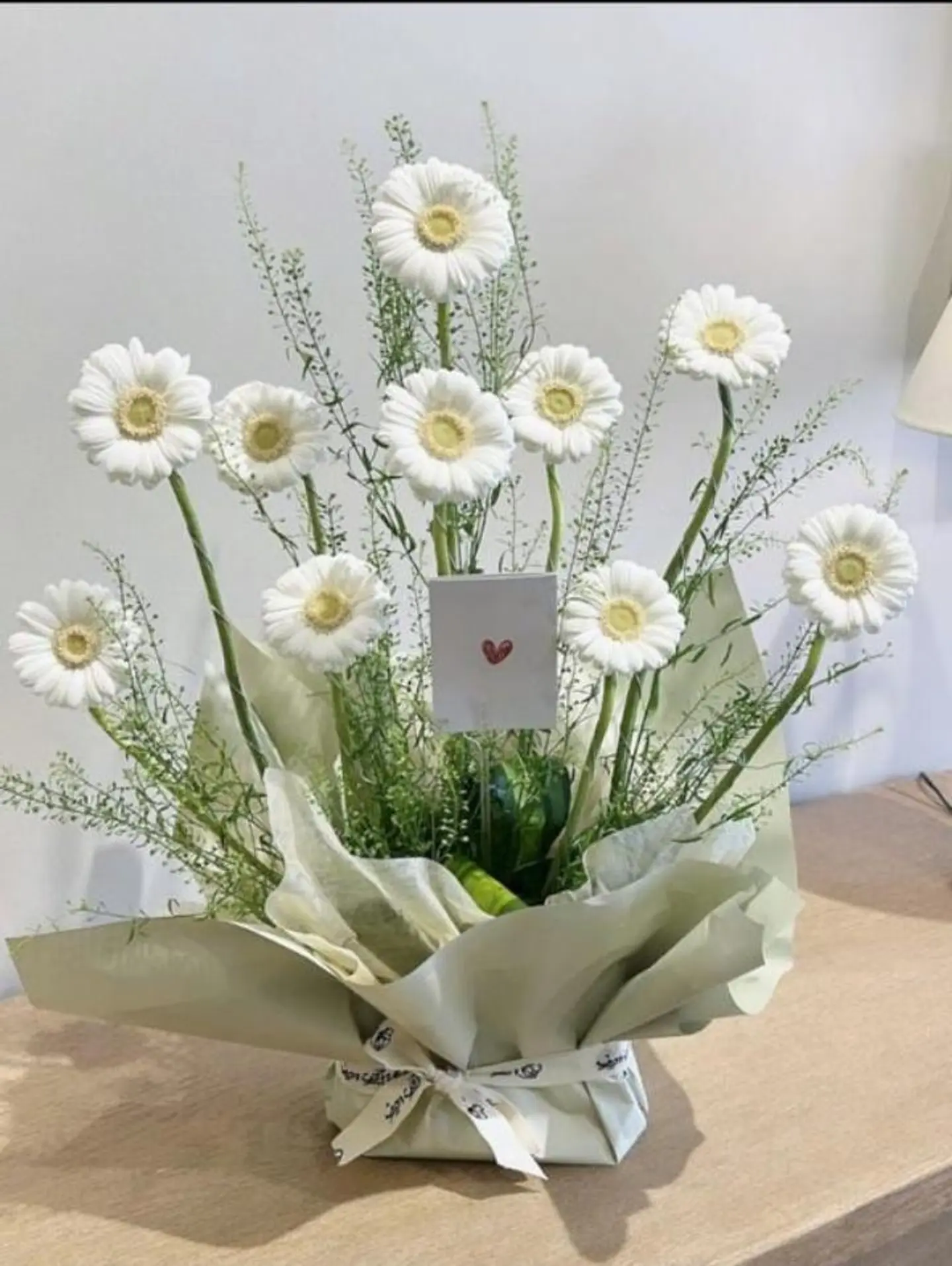 مزهرية الجربيرا ١