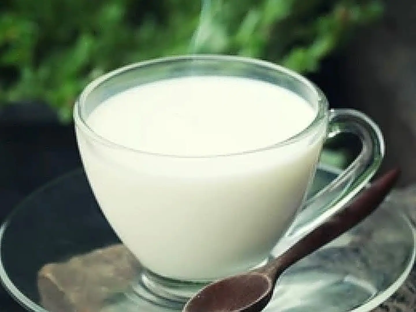 Hot Milk 250 Ml