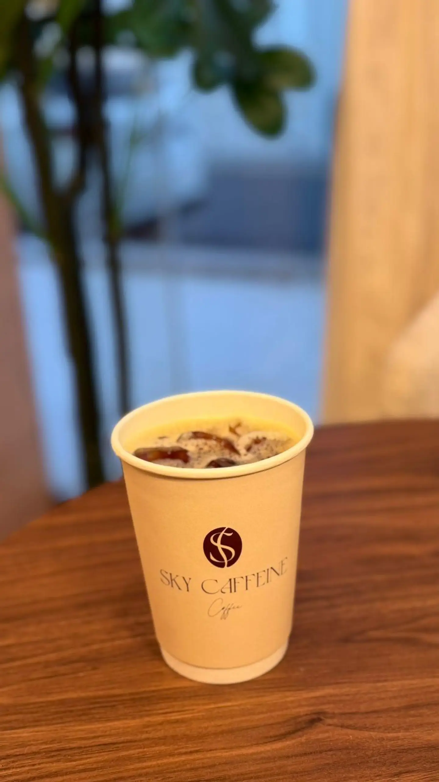 Iced Drip Coffee