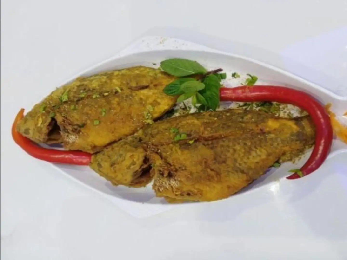 Tilapia Fish