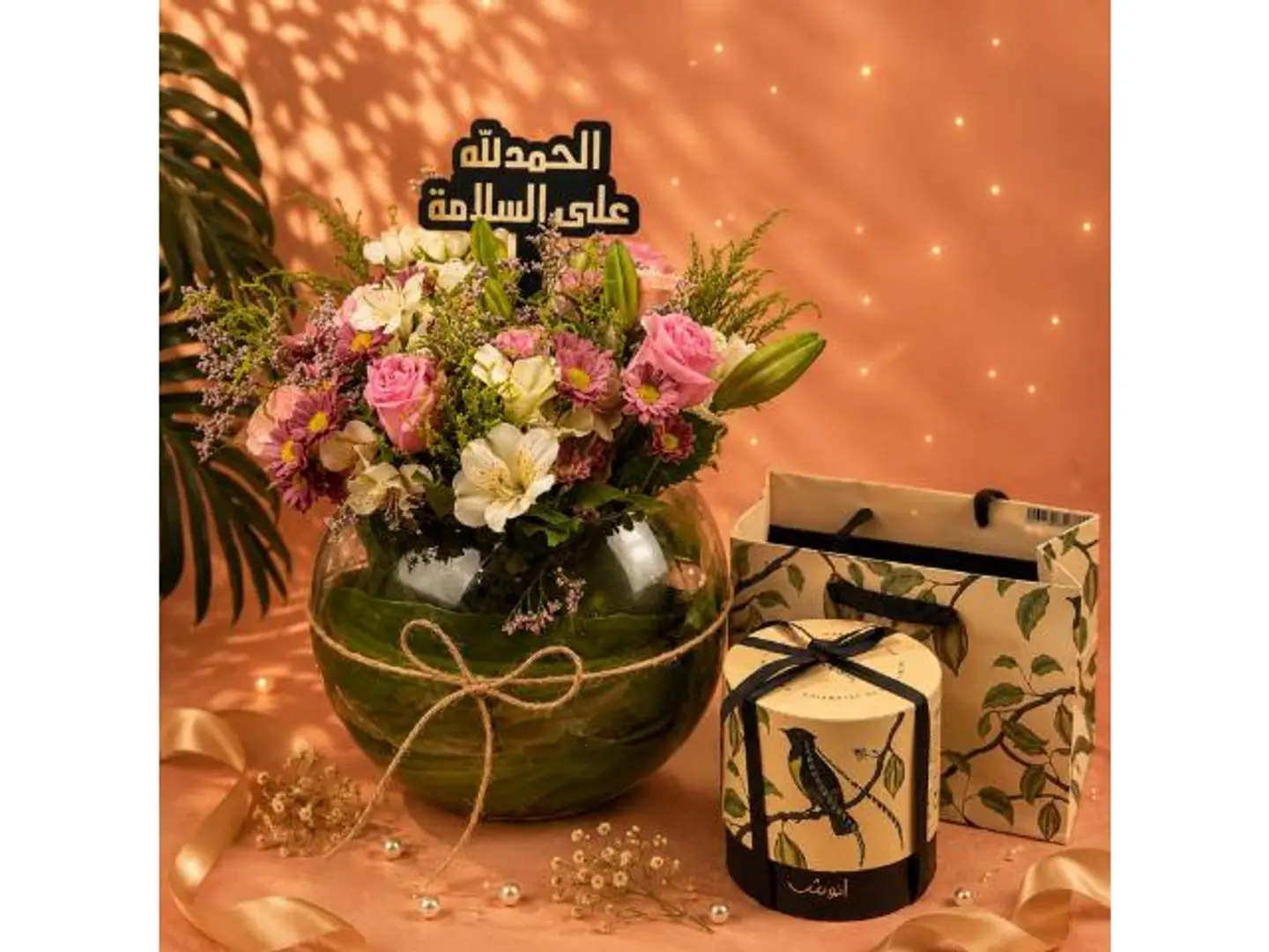 Anoush Word Reno Anoush 6