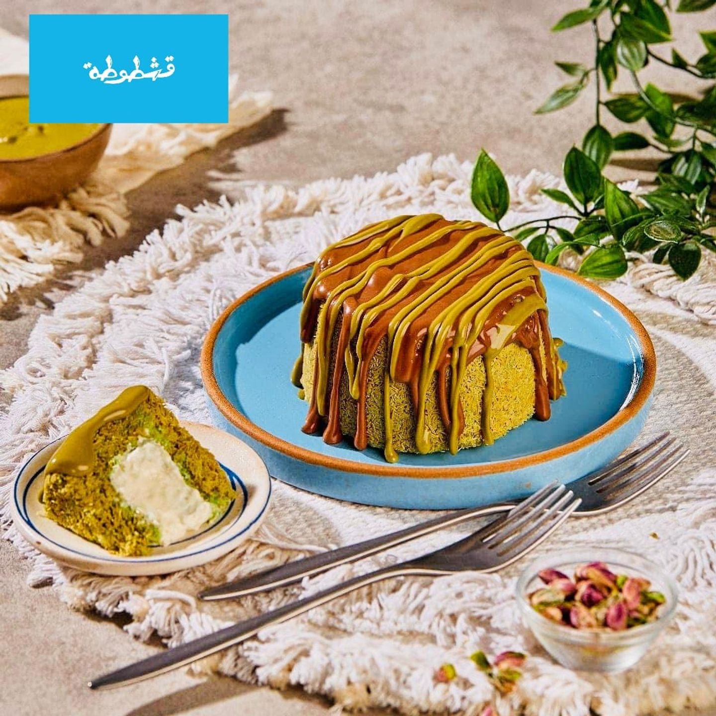 تشيز بومب