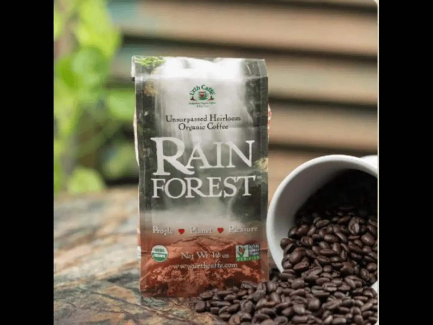 Rainforest By Packet