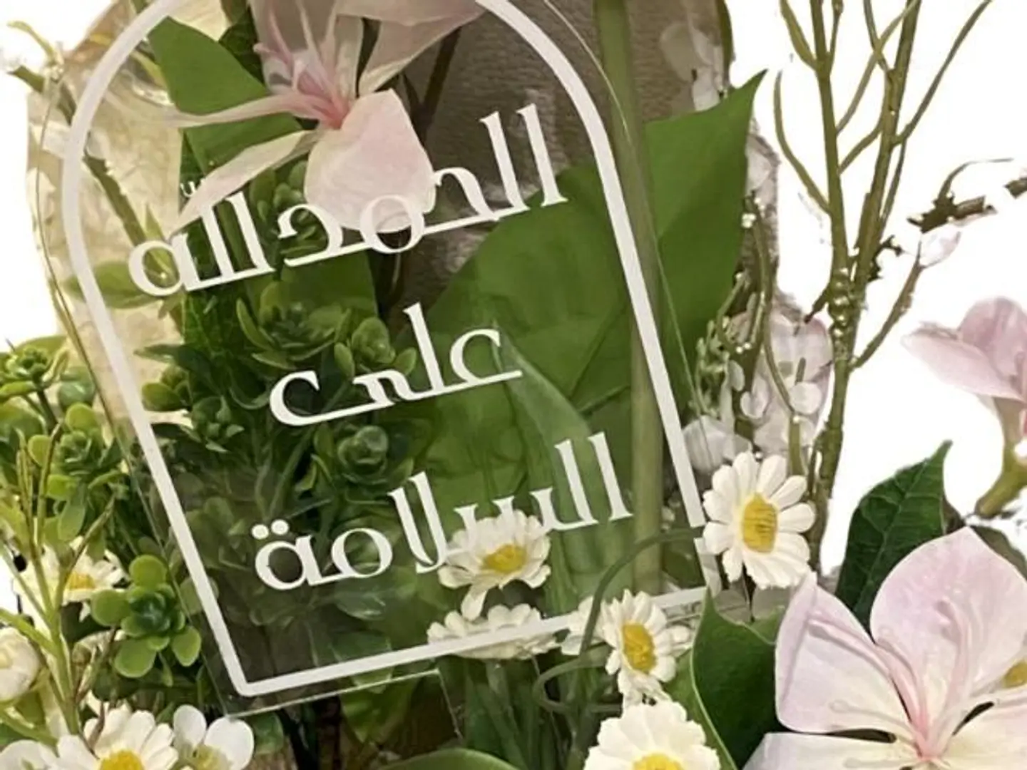 تغريسة الحمدلله على السلامه