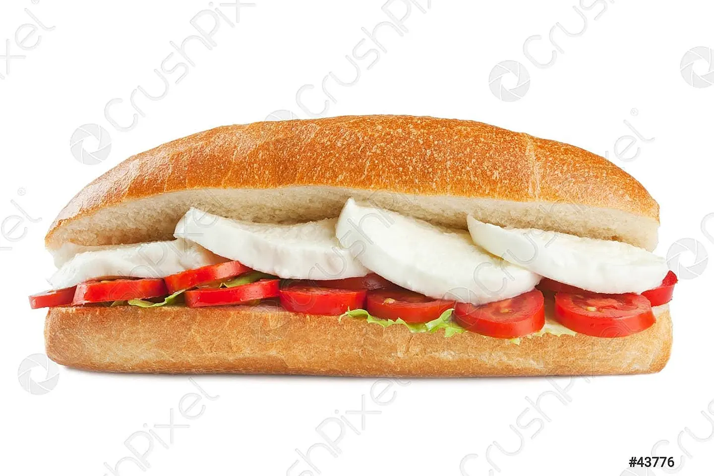 Cheese And Tomato Sandwich