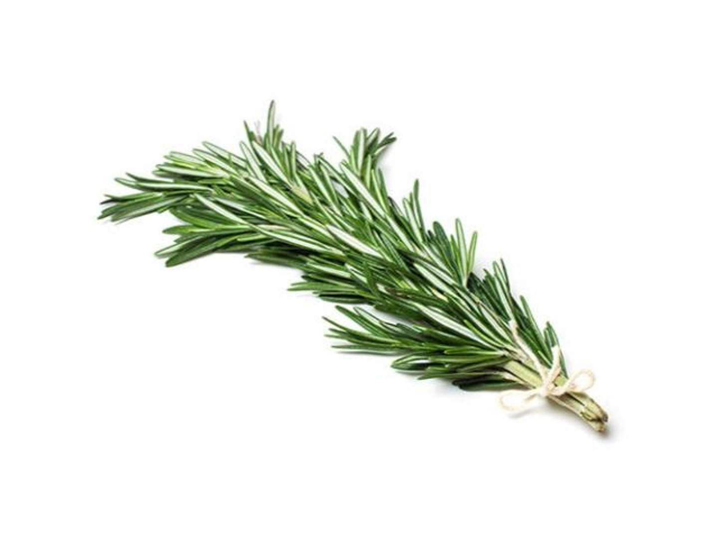 إكليل الجبل حزمة