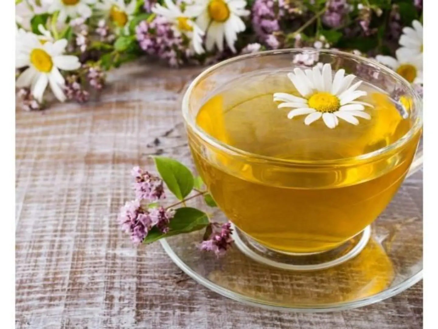 شاهي بابونج