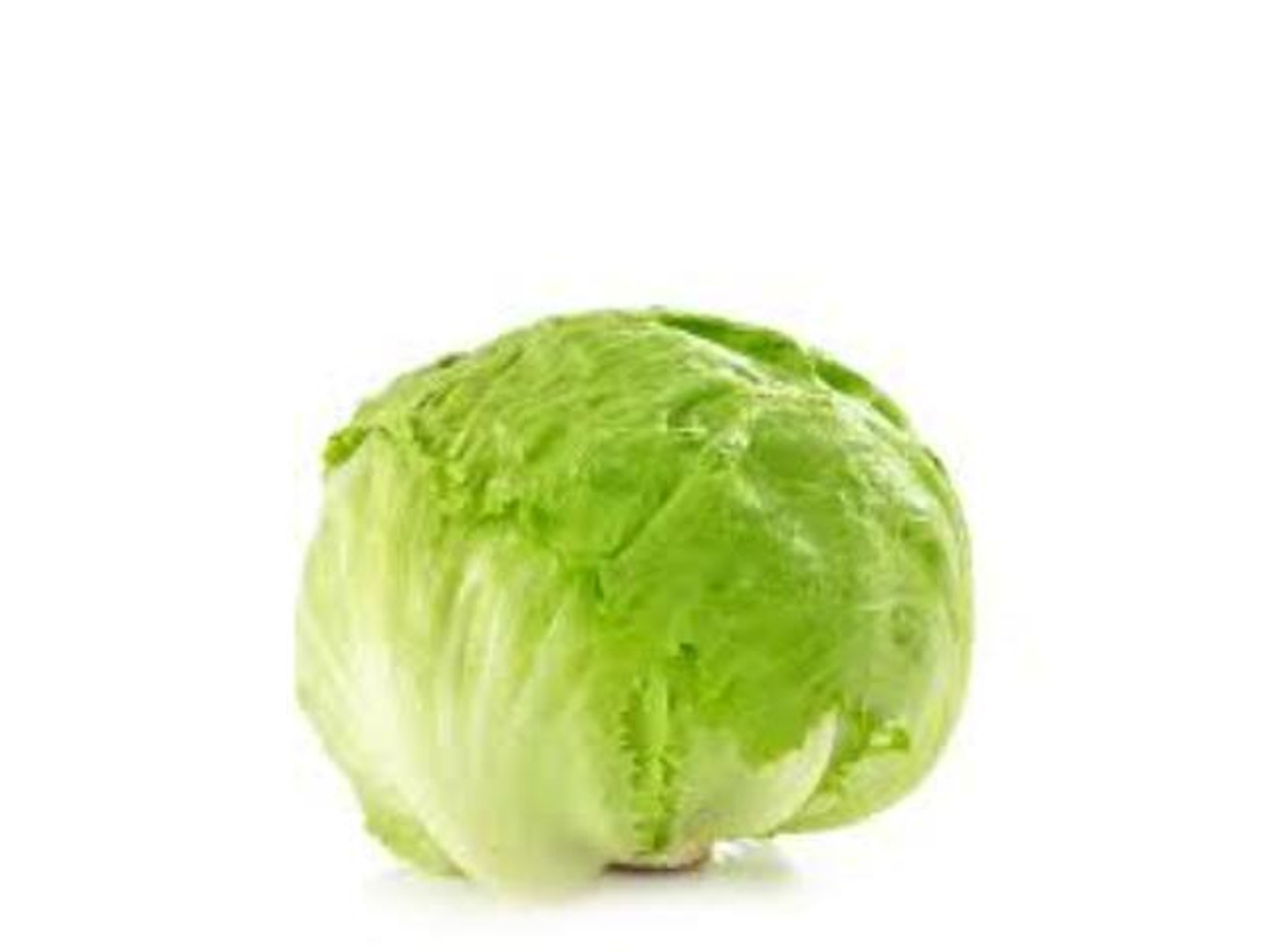 Imported Round Lettuce