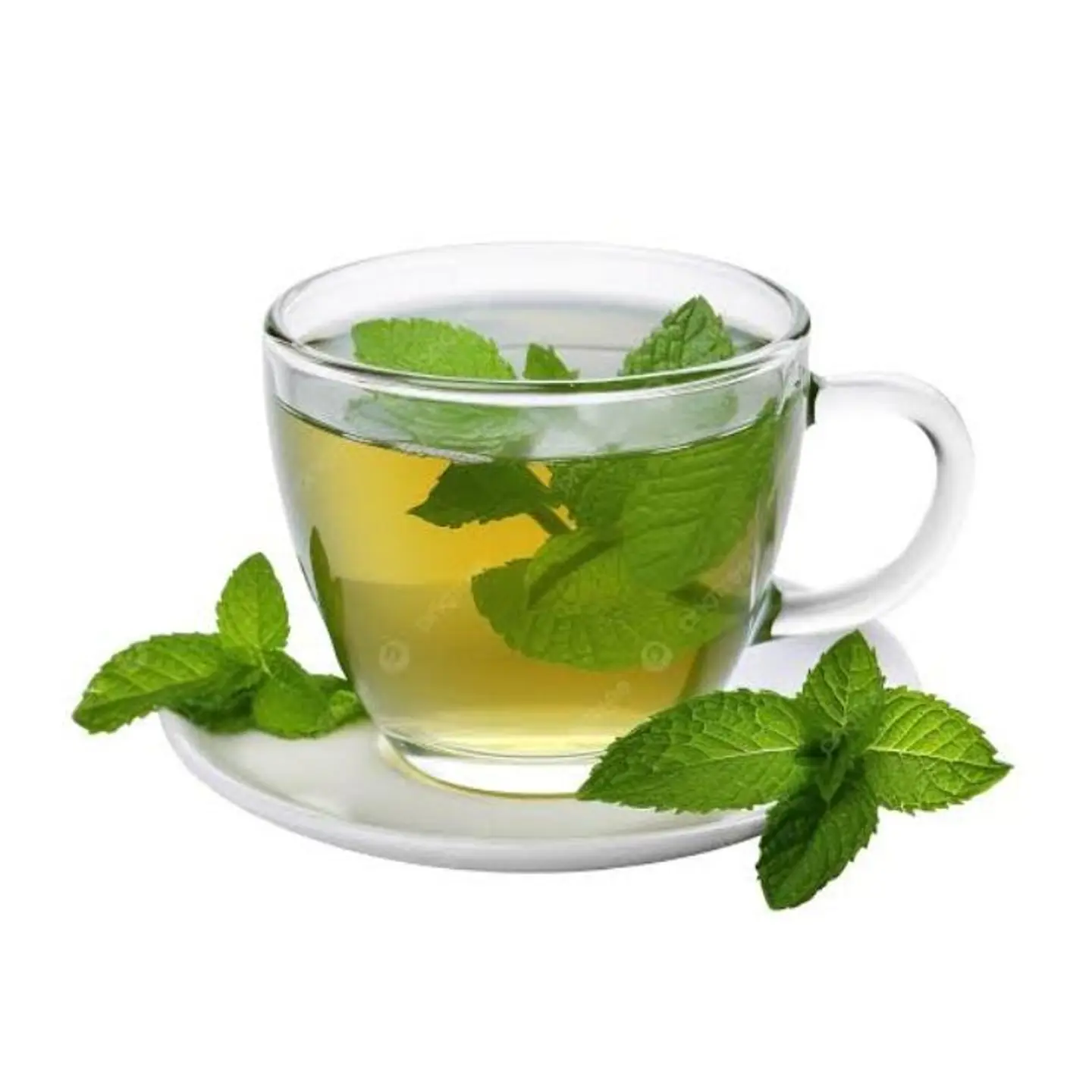 Mint Cup