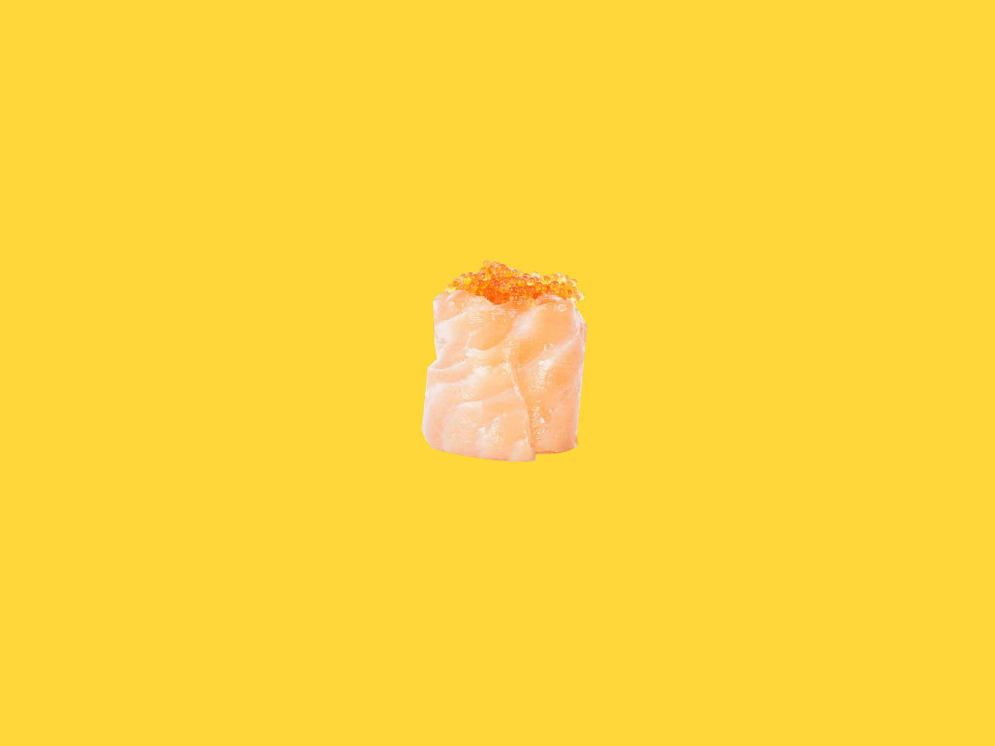 Salmon Rose (3pcs)