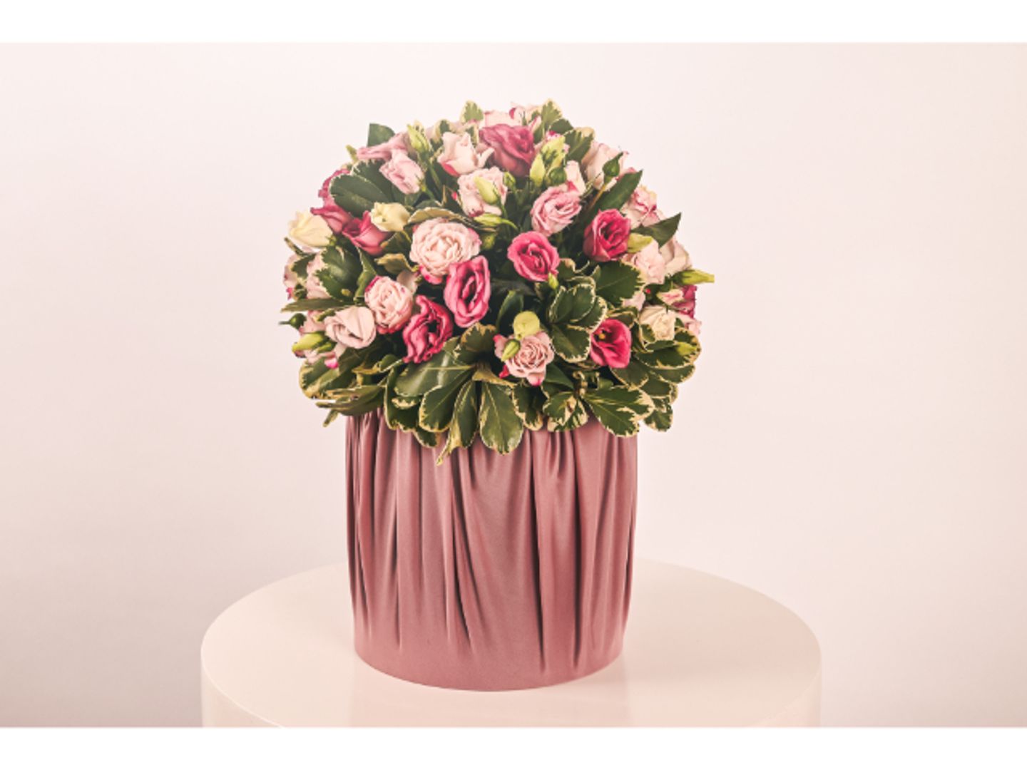 فازه وتر الإحساس