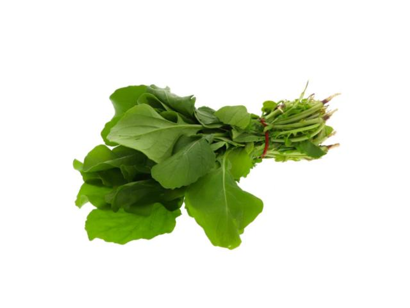 Arugula