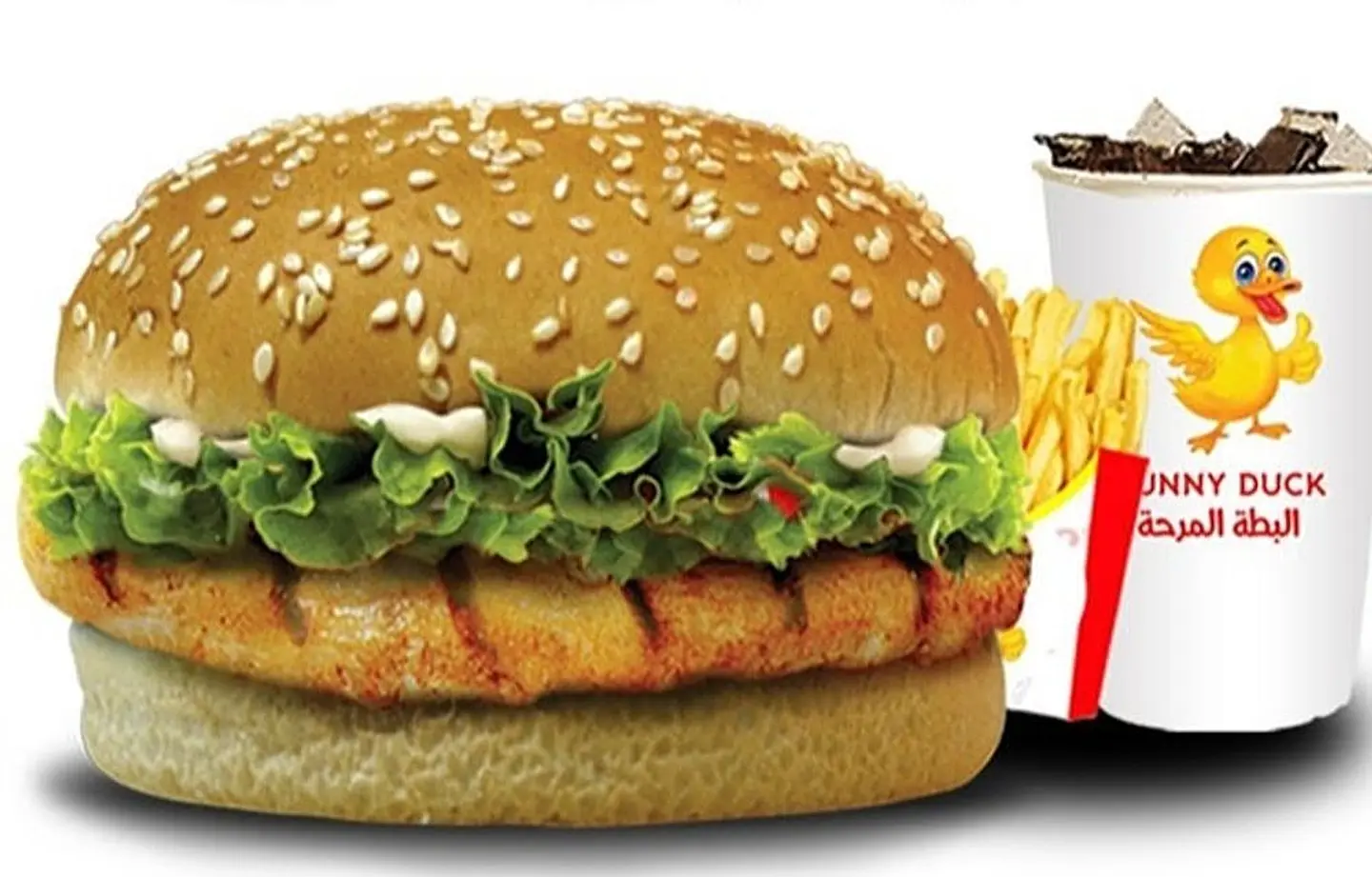 دجاج مشوي