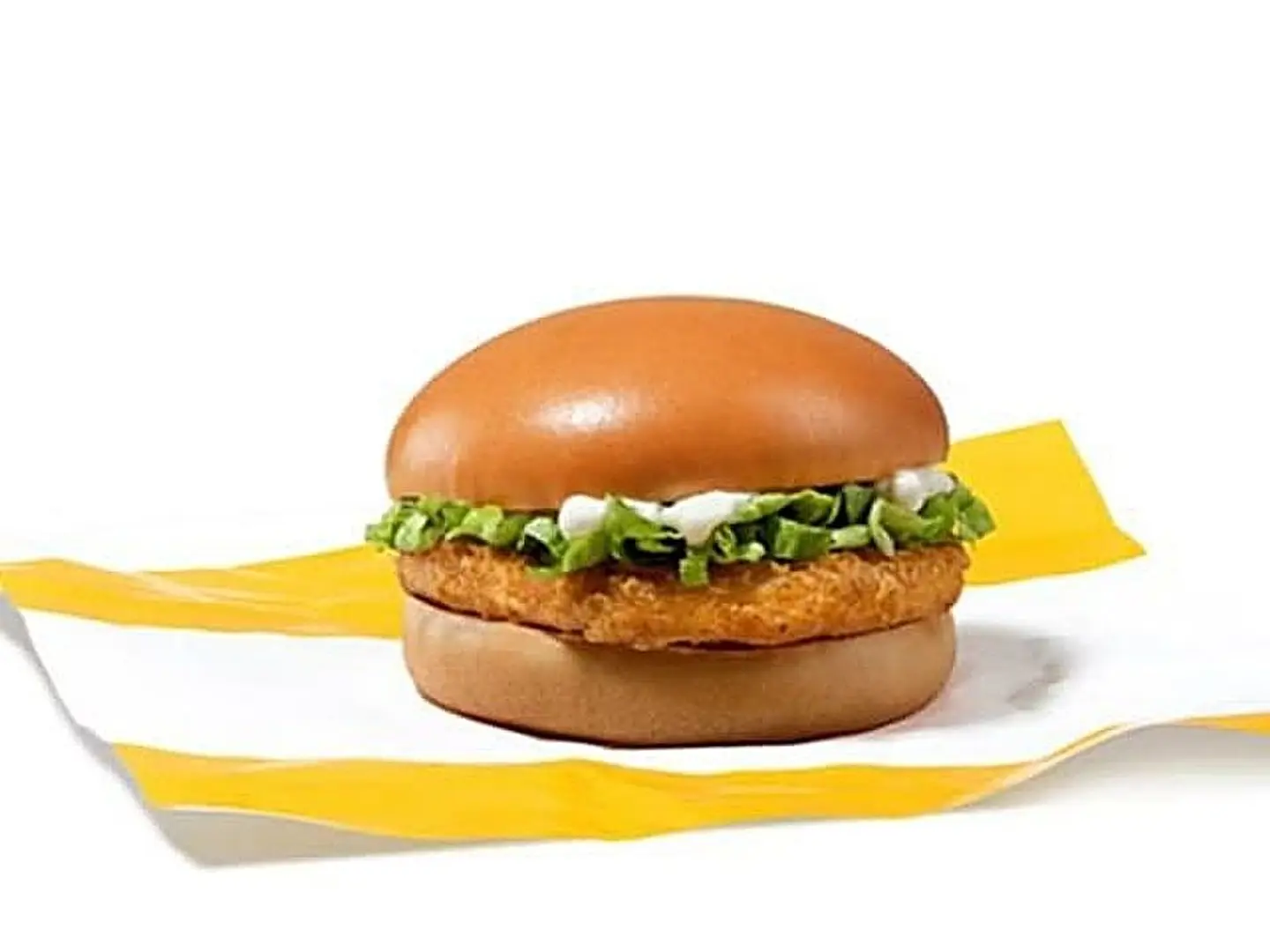 Chicken Burger Sandwich