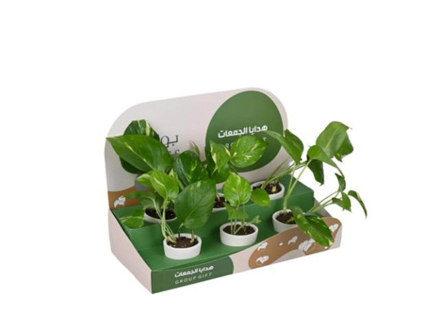 38  Box Of Fridays Pottery Pottery