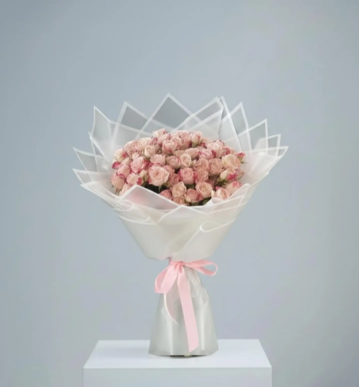 Elegance Package