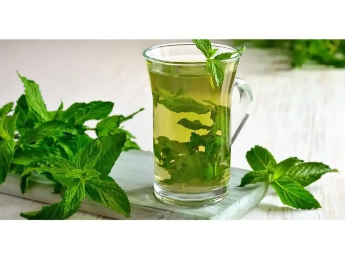 Plain Mint Cup