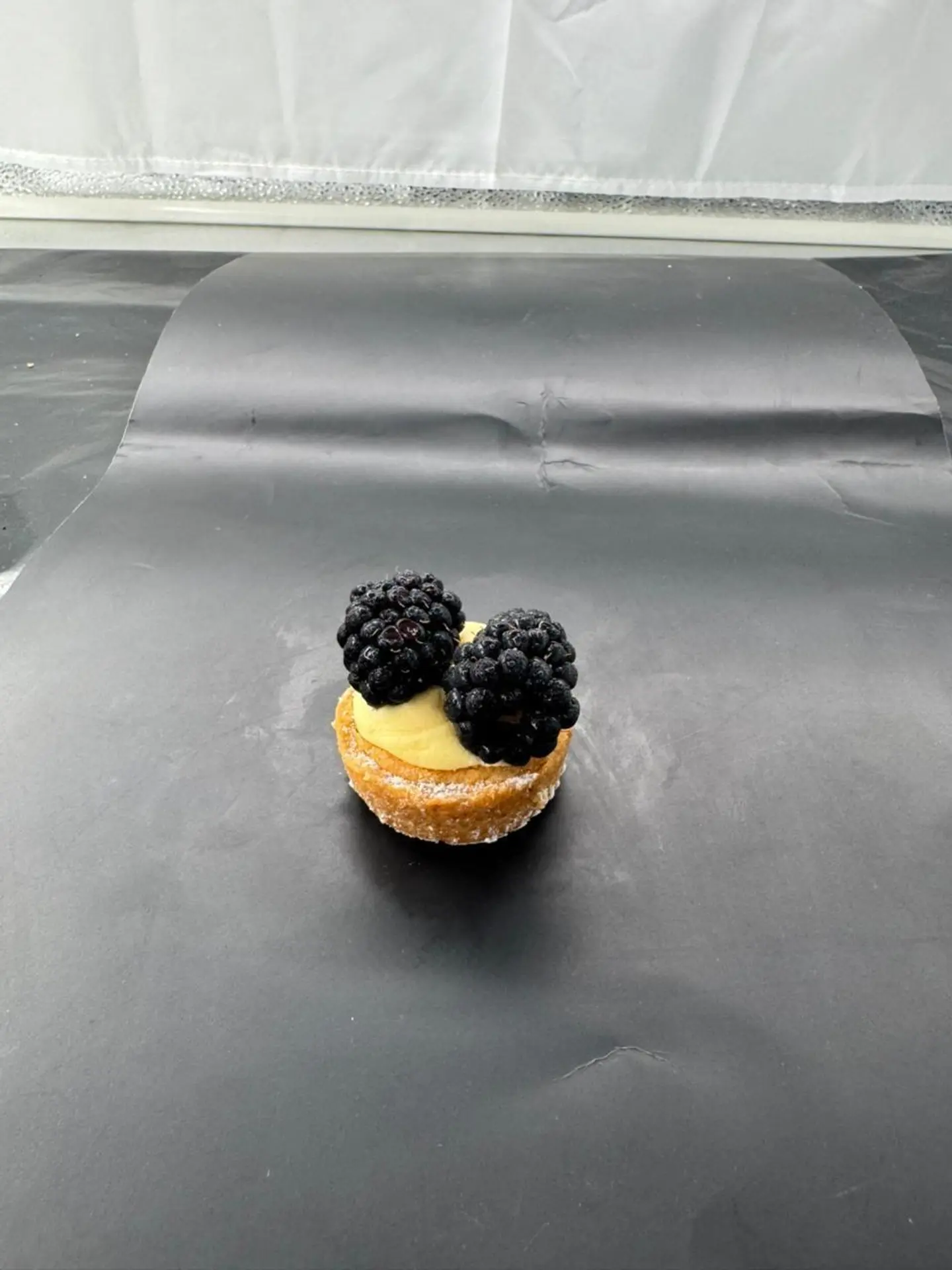 ميتي تارت توت اسود