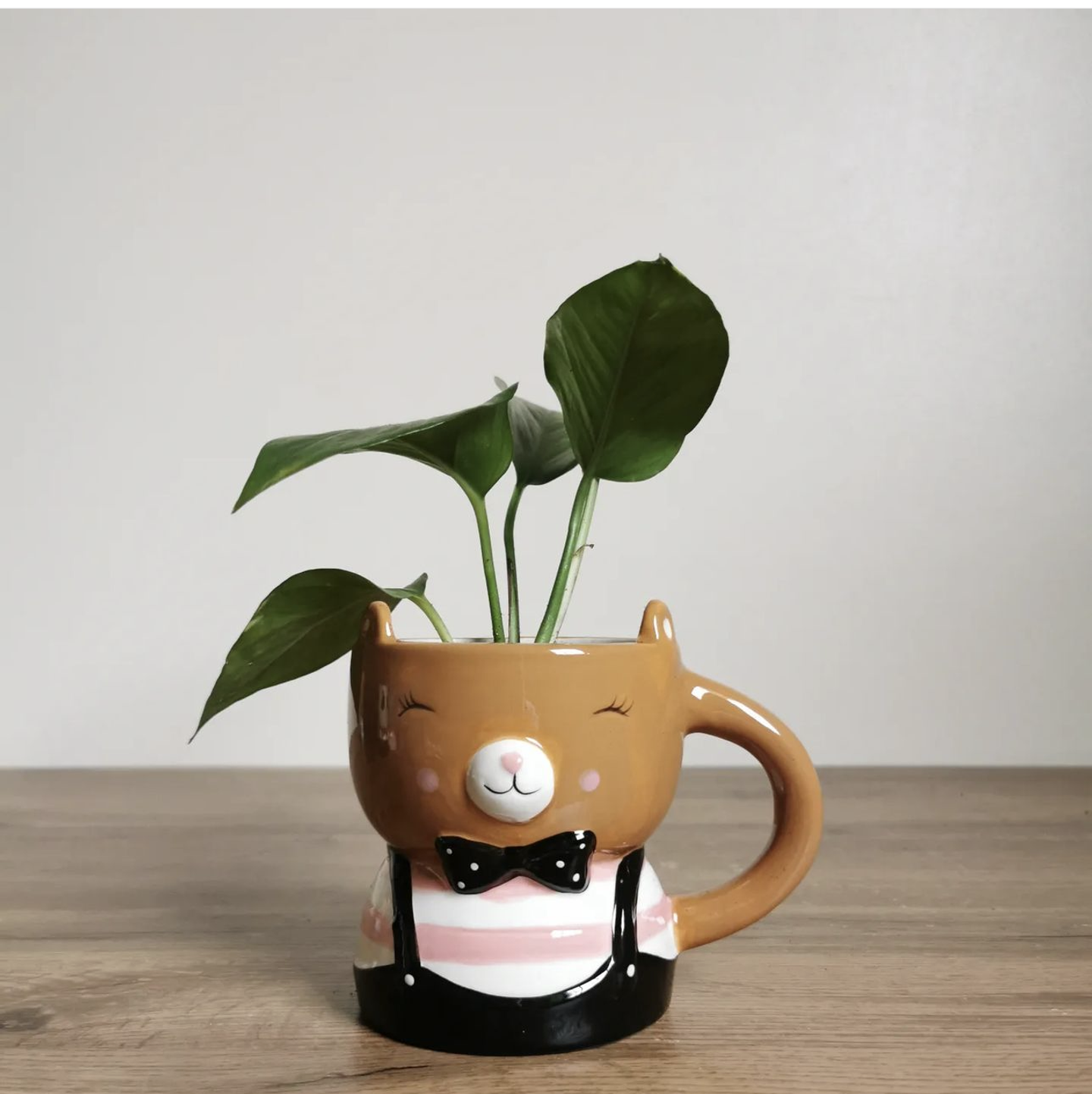 Pothos Plant In A Bear Vase