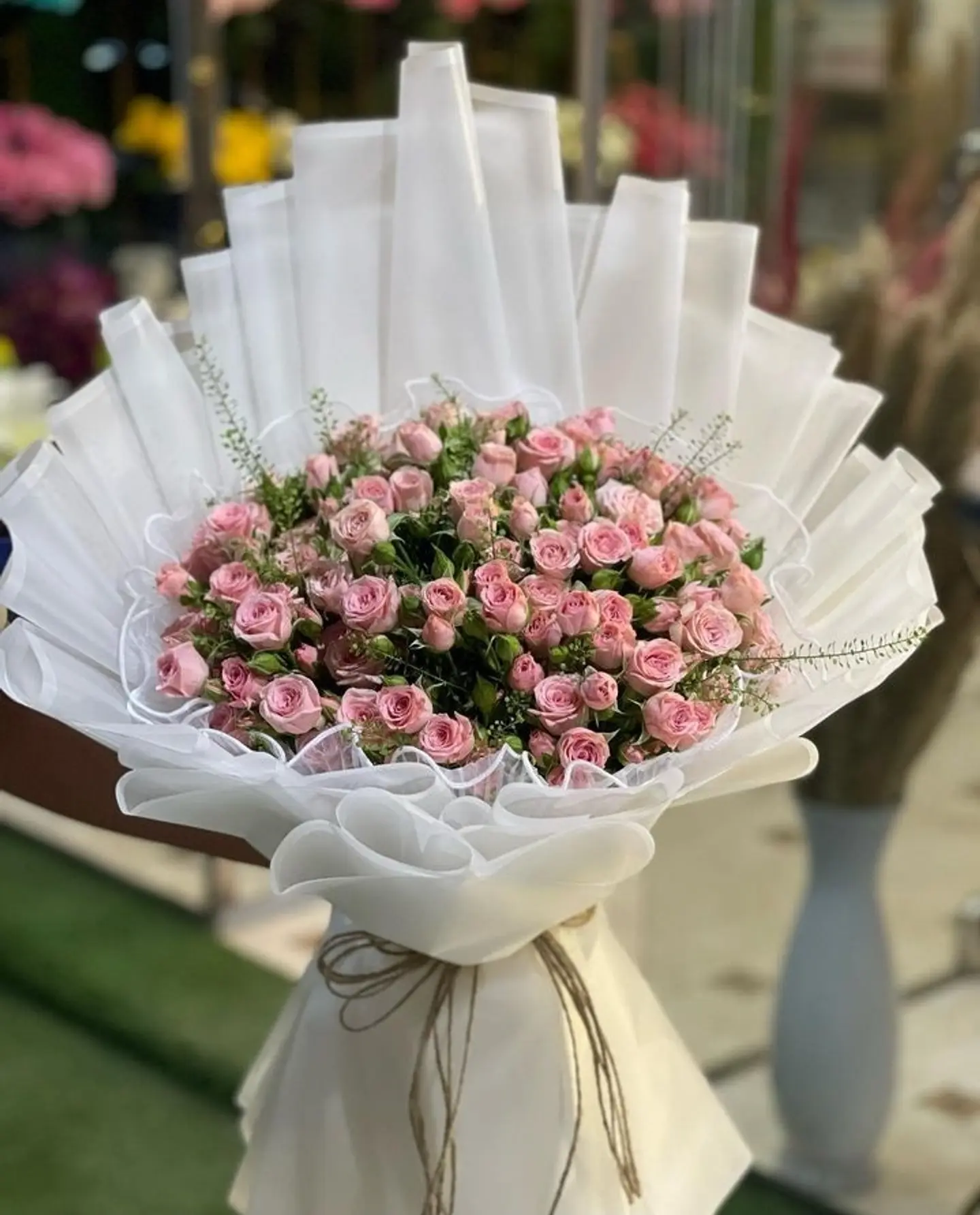 صفاء 2