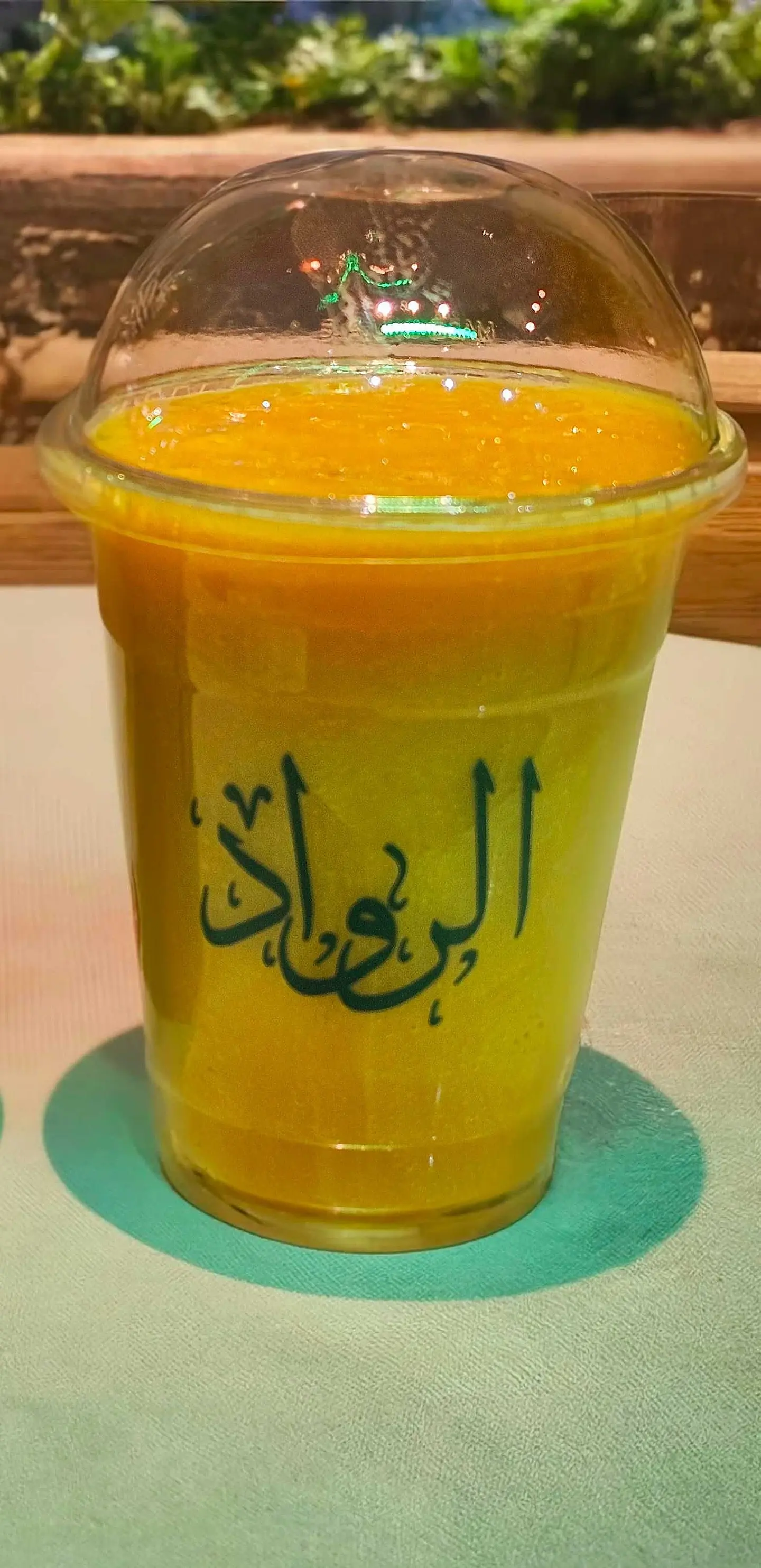 Mango Juice Regular Large