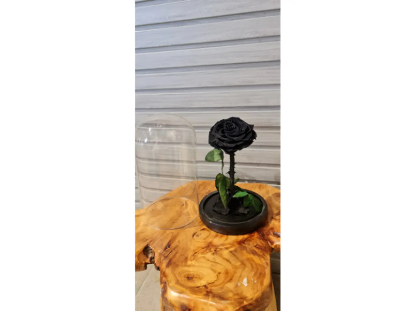 Black Rose