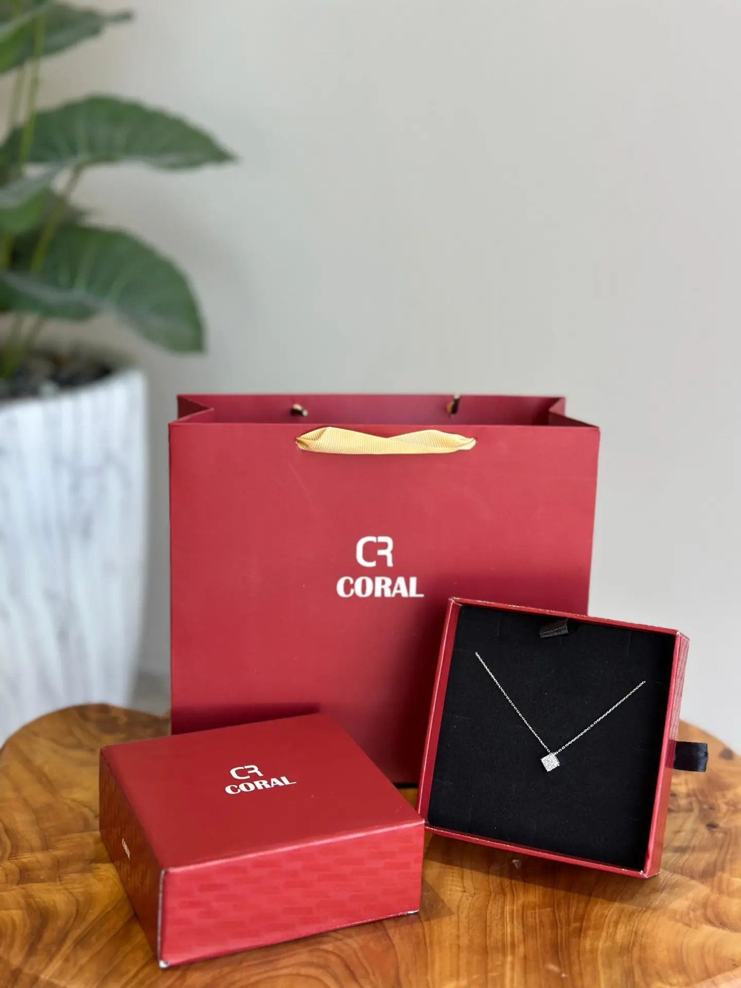 Coral Brand Silver Chain C