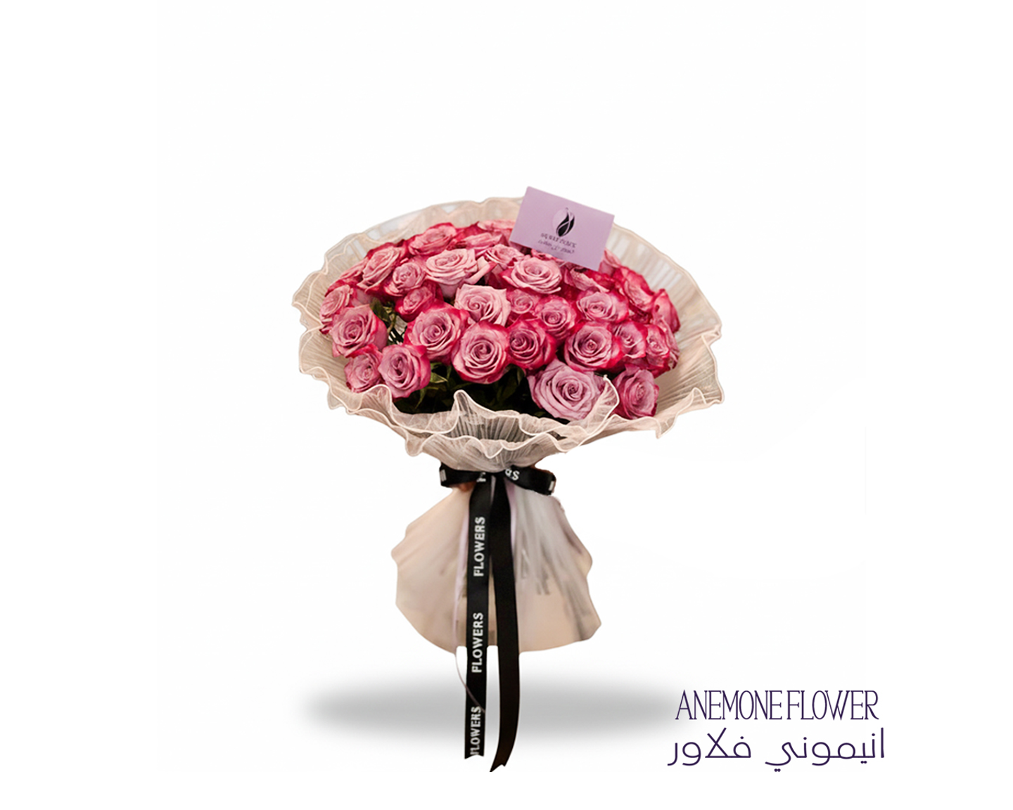 همس الأرجوان