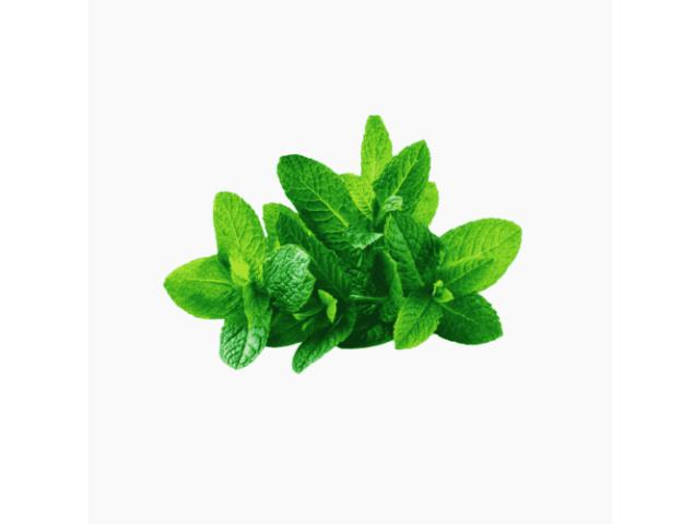 Mint