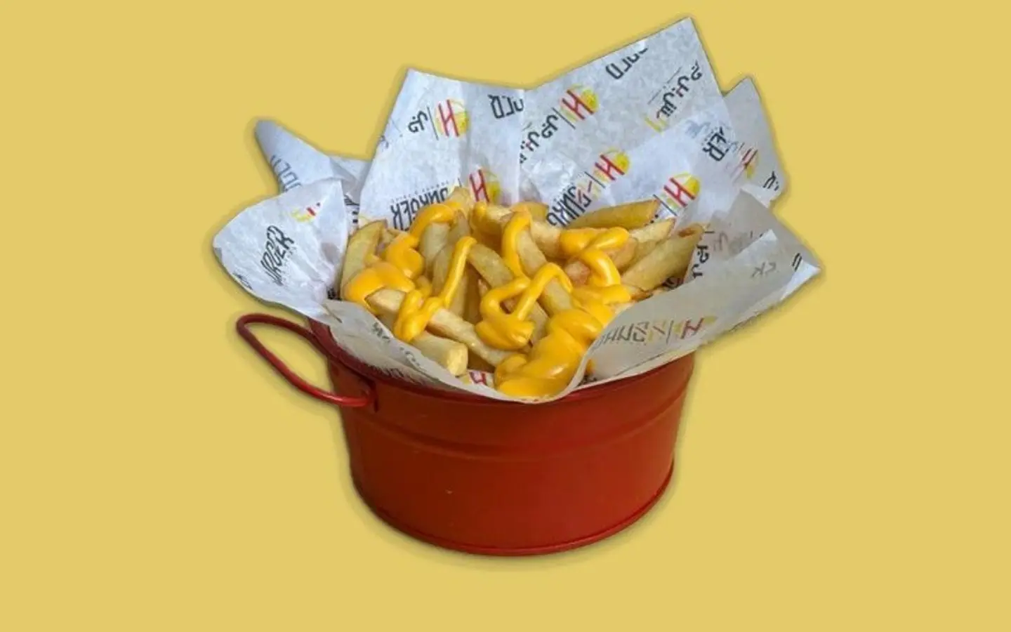 Fries With Chedder Cheese