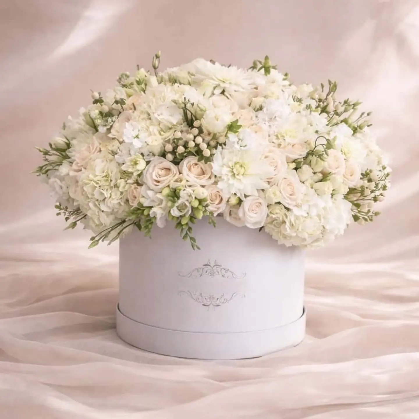 بوكس فلورينا