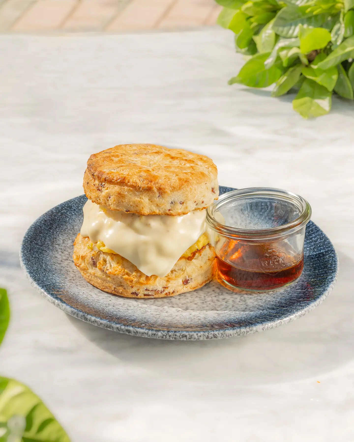 Glorius Biscuit