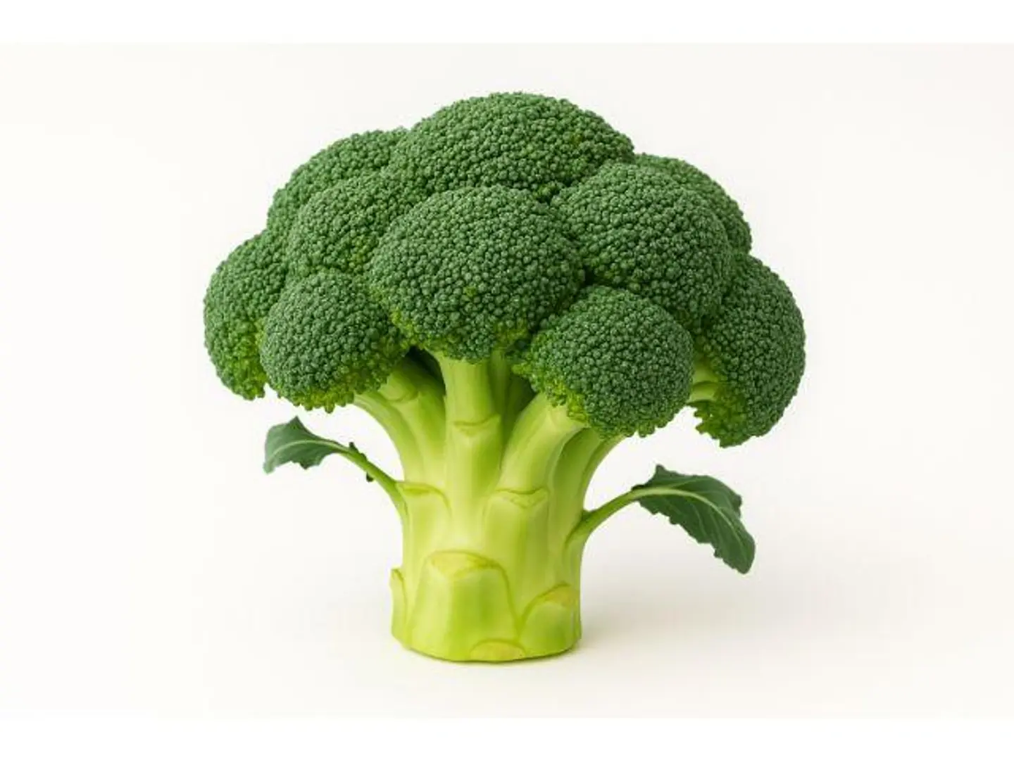 Broccoli