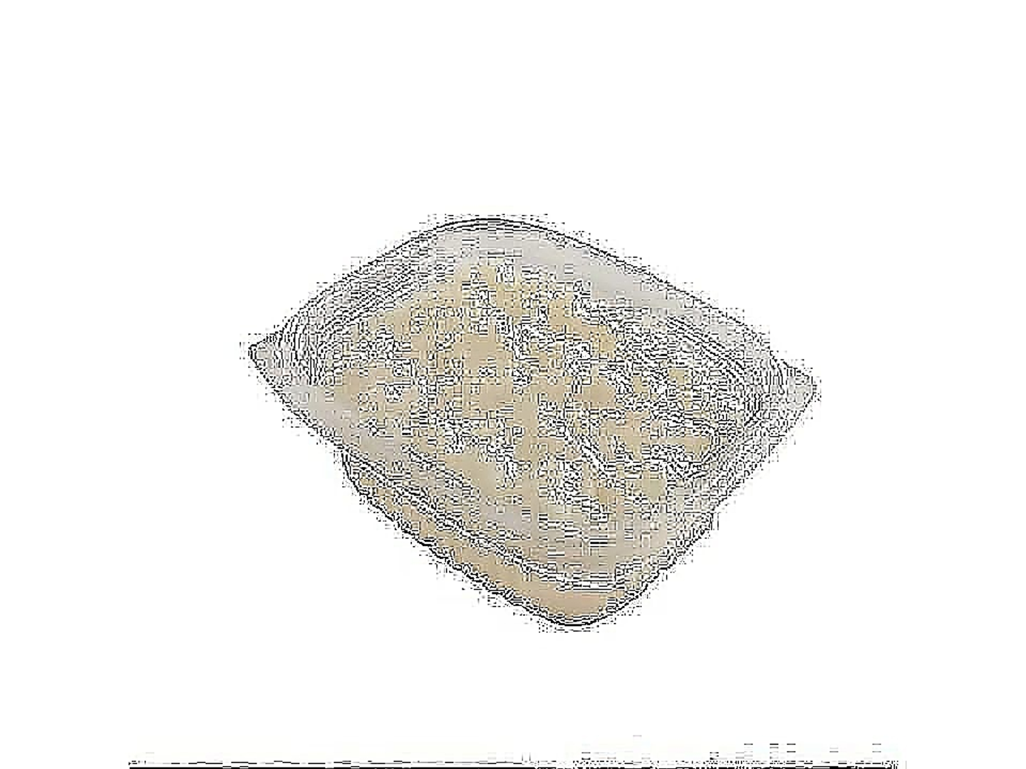 Rice Pudding