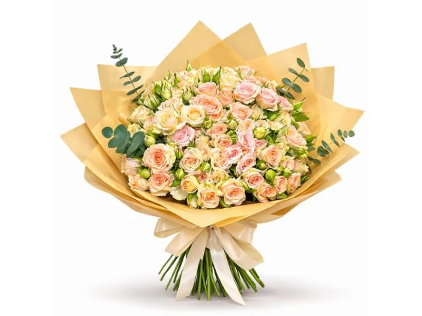 Light Pink Baby Rose