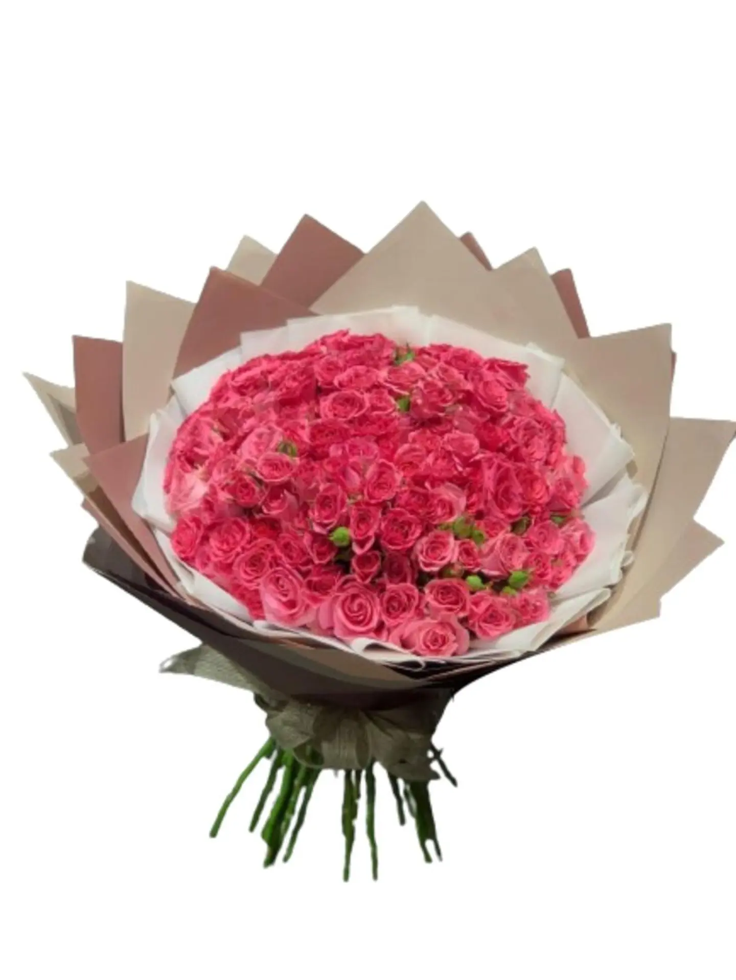 باقة الفوشي