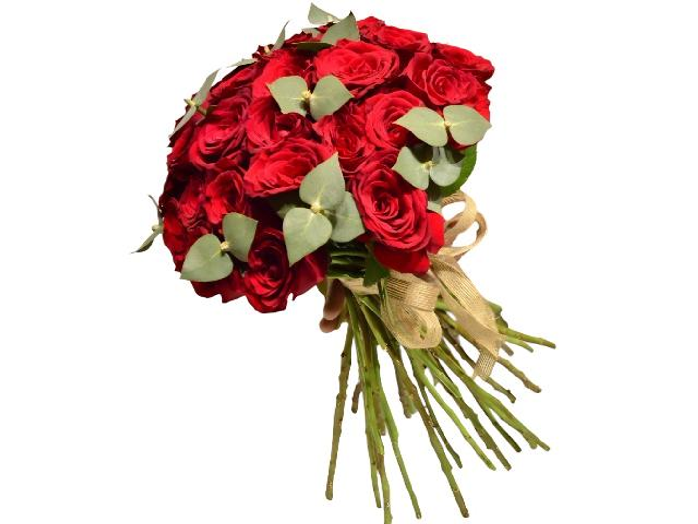6076 Ruby Elegance