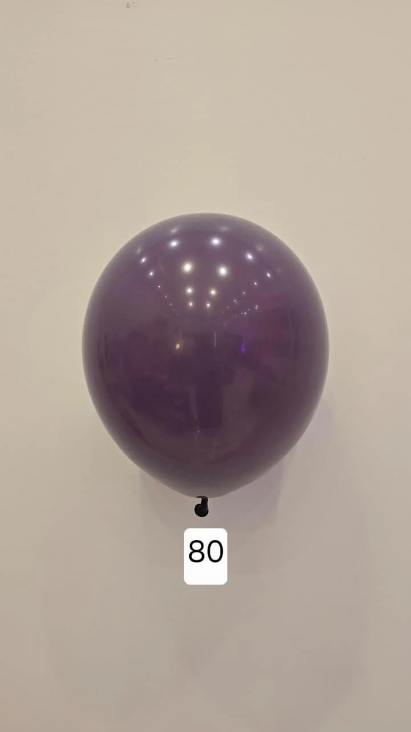 Balloon Number 80