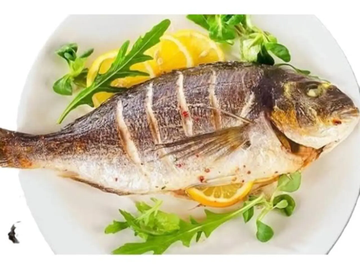 Grilled Seabream