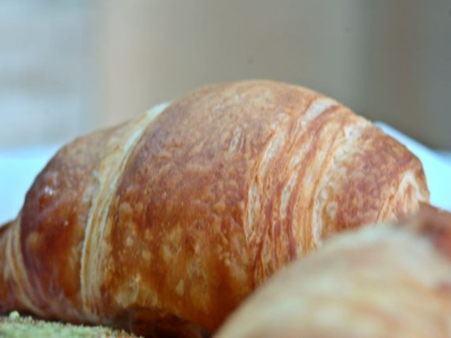 Plain Croissant