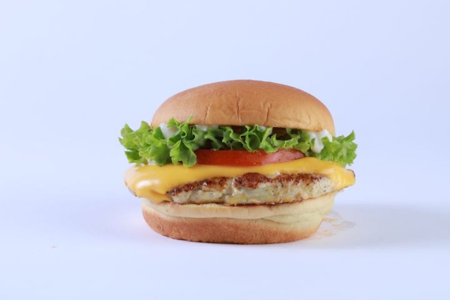 Chicken Grill